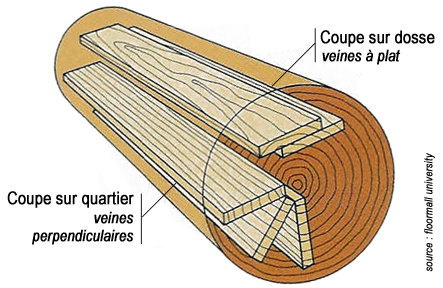 Importance de la coupe sur le bois - Guitare