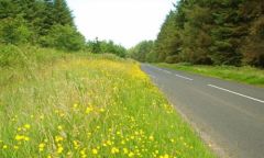 The_Cushendall_Road_near_Ballycastle.jpg